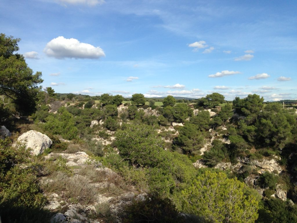 Mottola