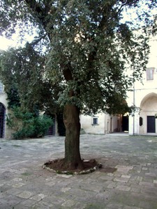 Castello De Viti De Marco