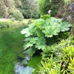 Giardini di Ninfa