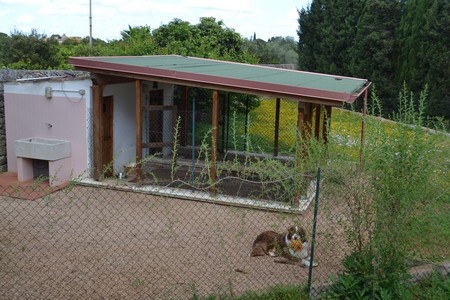 campilatini