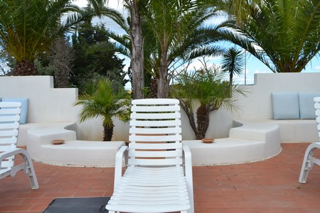 campilatini