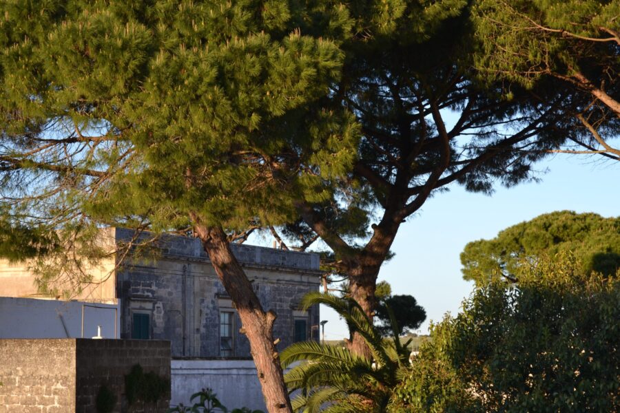 Palazzo Guglielmo