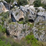 cripta