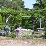 Parco della Vigna