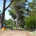 Parco della Vigna