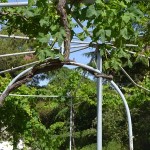 Parco della Vigna