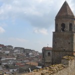 Bovino