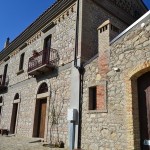 Bovino