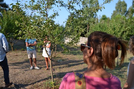 Giardini di Pomona