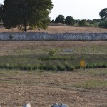 Giardini di Pomona