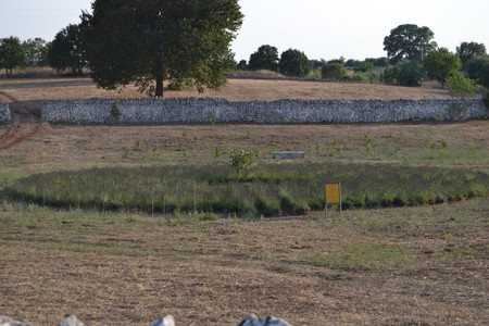 Giardini di Pomona