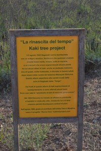 Giardini di Pomona