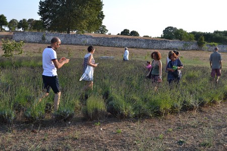 Giardini di Pomona