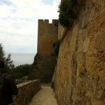 Bovino