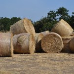 masserie