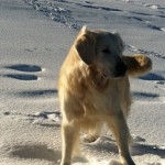 noi e Arturo