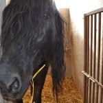 masserie spartaglio pedone