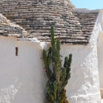 Masseria Casaburo