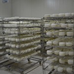 Masseria Cappella