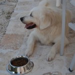 Masseria Casaburo