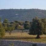 Masseria Casaburo