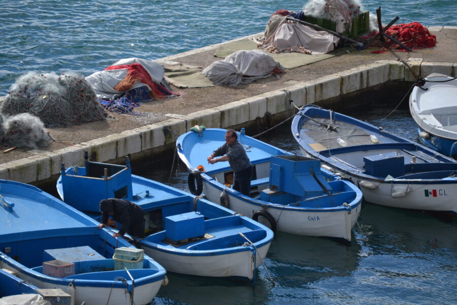 Gallipoli