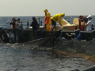 Fra mare e terra