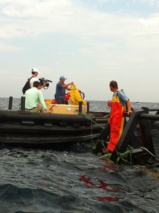 Fra mare e terra