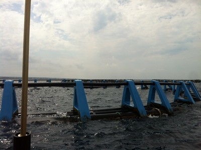 Fra mare e terra