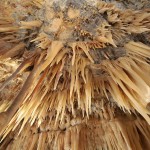 grotte