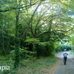bosco-delle-pianelle