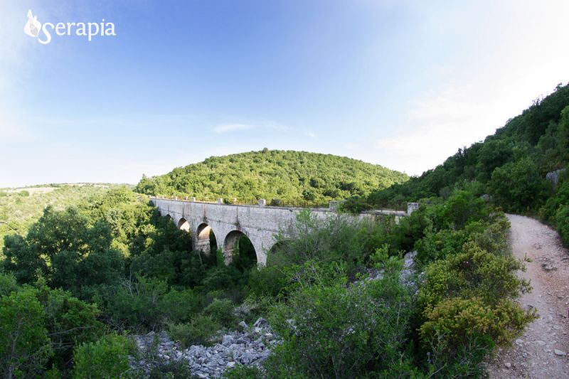 bioagricoltura bioagricoltura
