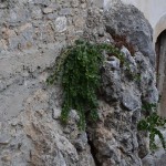 Roccagloriosa