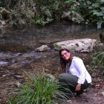 Bussento