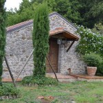 giurò