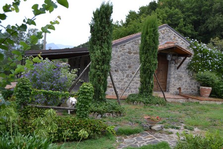 giurò