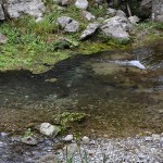 cilento