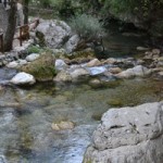 cilento