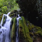 cilento