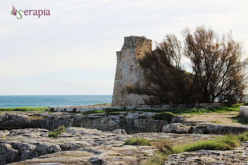 Tra torri e calette selvagge a Monopoli torre-cintola-monopoli