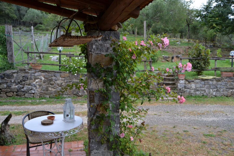 Stalle di Giurò