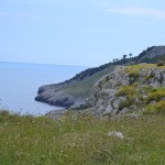 torri costiere