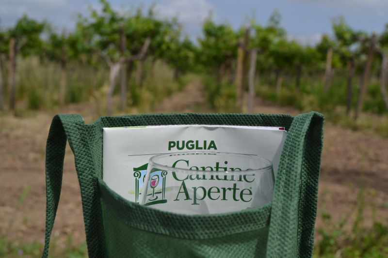 Cantine Aperte: in bus c’è più gusto