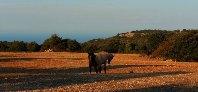 Sui Monti di Cisternino sospesi tra terra, cielo e mare