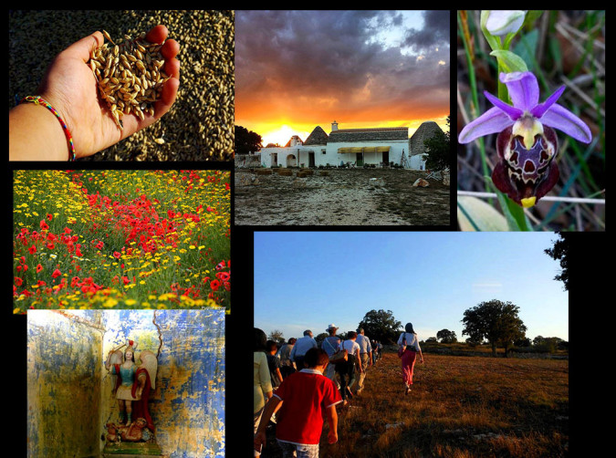 Colori e profumi della Murgia dei Trulli