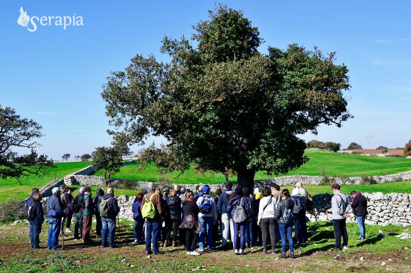 Tra boschi, villaggi e melodie musicali