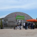 farfalia