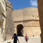 Fortezze
