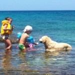 baubeach