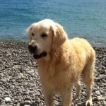 spiaggia